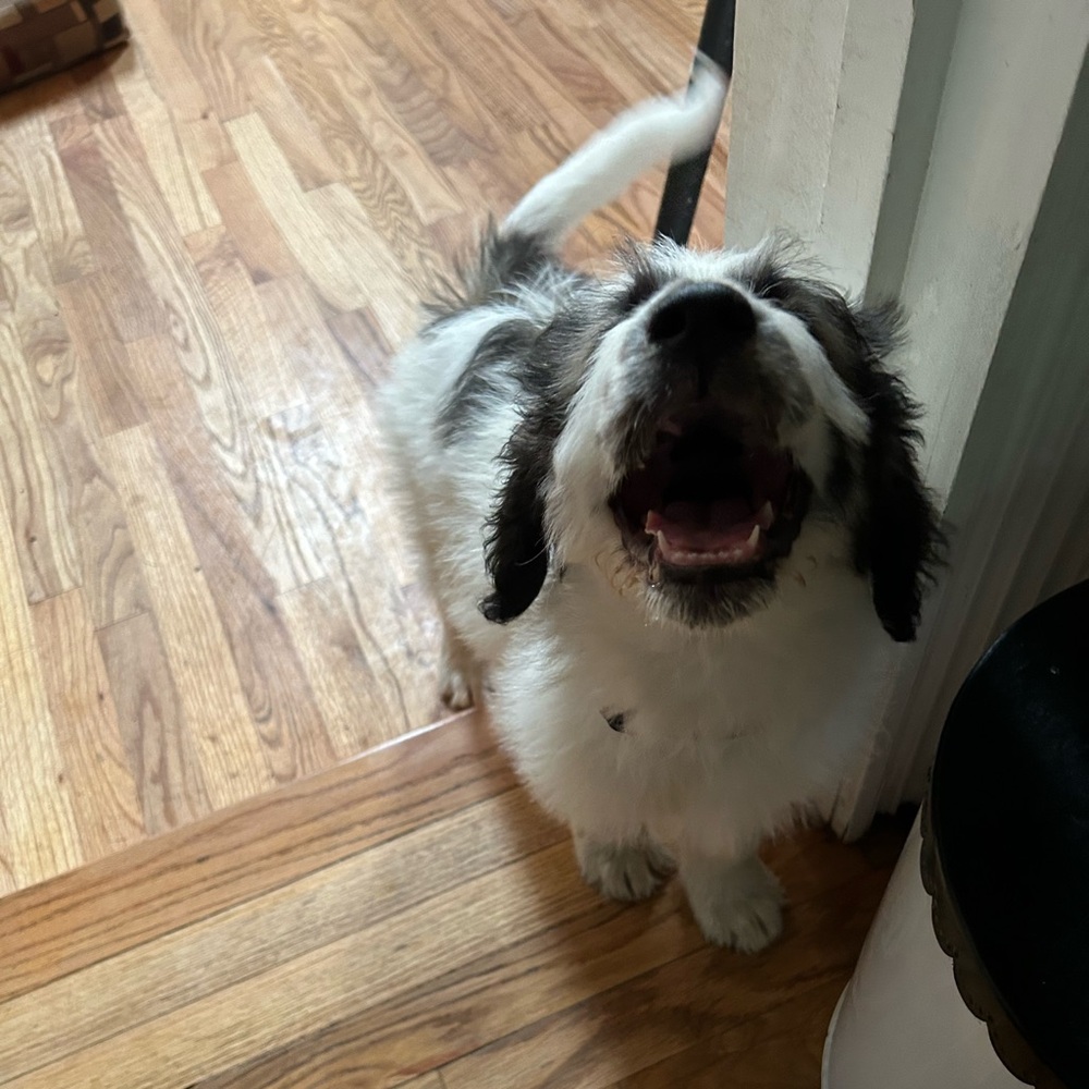 Meet your Posher, Linda